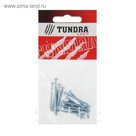 Винт DIN7985 TUNDRA krep, с полукруглой головкой, М3х30 мм, оцинкованный, 16 шт.