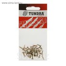 Саморезы универсальные TUNDRA krep, 3х12 мм, жёлтый цинк, потай, 40 шт.