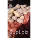 Картофель