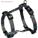 Шлейка-Н Trixie Jimmy, XS–S: 30–40 см/15 мм, коричневый