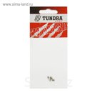 Винт установочный TUNDRA krep, 5х6 мм, в пакете 4 шт.