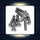 Болт 10*100 ГОСТ 7805