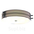 Потолочный светильник ST Luce Hegia SL484.542.06