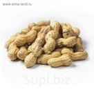 арахис не очищенный вс 16 кг