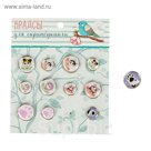 Брадсы для скрапбукинга "Кошачья нежность" ( набор 12 шт., 1,9см,1,4см.) 13х11 см