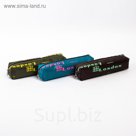 Пенал школьный на молнии МИКС Лондон