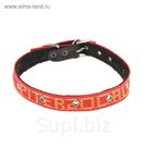 Ошейник капроновый на фетре, 60 х 2,5 см, микс цветов