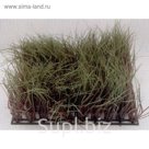 Растение пластиковое Коврик 12,5х25см, зеленое (83004_12.5)