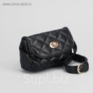 Сумка на пояс L-9801, 15*6*10, отд с перег на молнии, поясной ремень, черный