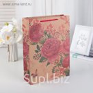 Пакет Крафт 24 х 33 х 8 см