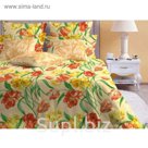Постельное бельё «Голландия беж/3» 2 сп., размер 214х220, 172х205, 70х70-2 шт., бязь 142 г/м²