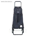 Сумка-тележка Rolser PAC036 marengo LOGIC RG