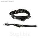 Ошейник кожа BEADS черный S, 33-39 х 2 х 0,8 см
