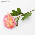 Цветок искусственный "Пион Сорбет" 12*70 см, розовый