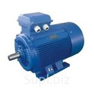 Электродвигатель 5А200L4 45/1500 на лапах