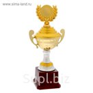 Кубок спортивный 099