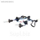 Ксеноновая лампа Interpower, H1, 5000к
