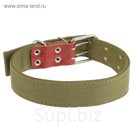 Ошейник брезентовый двухслойный, 79 х 4,5 см  микс цветов