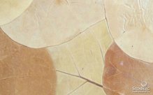 Декоративные панели из природных материалов с запахом Organoid SPECIAL: LEATHER LEAVES