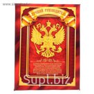 Диплом "Лучший руководитель"