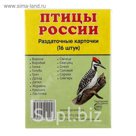 Карточки обучающие "Птицы России" 16 шт. 6,3 х 8,7 см.