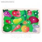 Магнитная мозаика "Во саду ли, в огороде", 26 деталей + 2 удочки