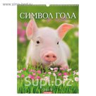 Календарь перекидной, ригель и пружина "Символ года - 1" 2019 год, 34х49см