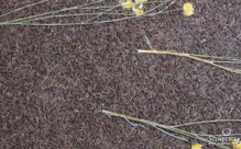 Декоративная панель CUMIN WITH FLOWERS изготовлена из тмина с хотично расположенными цветками на основе из HPL. Могут применяться для отделки стен. Крепятся на…