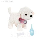Игрушка BABY born "Пудель"