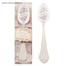 Ложка чайная "Оксана" в подарочной коробке