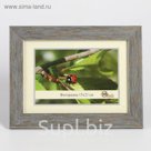 Фоторамка 404-3009-1S 15х21 см