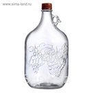 Бутылка 5 л "Лоза"