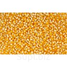 Продаётся фуражная кукуруза. Зерно соответствует ГОСТу. Полный пакет документов (протокол, декларация, ВСД). Осуществляем доставку фуража кукурузы по Москве, М…