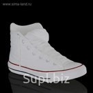 Кашпо-карандашница "Белый Кед"