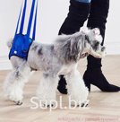 Поддержки ходунки задних лап DogCare №2 S