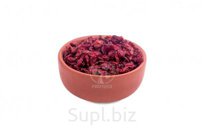 Барбарис красный