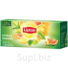 Чай Lipton "Citrus Gurden", зеленый, с ароматом цитрусовых, 25 пакетиков по 1,4г