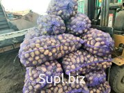Картофель