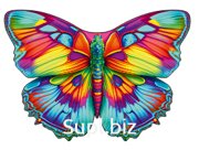 Wings #11 Article: MT08011