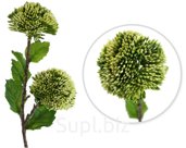 Decorative flower Trachelium. Size: 10x6x44 cm.