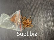 Лепесток штырь 2-1.0-3-7-00 ГОСТ 16840-78 медь, штамповка, без покрытия