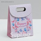 Пакет подарочный «Подарок замечательный», 12 × 16 × 6 см,