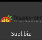 Кабачок кубик 10*10, Россия