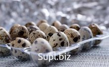We offer to buy packaging for quail eggs from the manufacturer
 
 Packaging is used to pack products on poultry farms, agro -industrial complex enterprises. We…