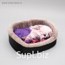 Лежанка №4, с кошкой, 53 х 38 х16 см, микс