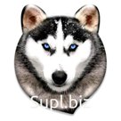 Значок светоотражающий 3D (&amp;quot;Хаски&amp;quot; А460)