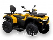 Квадроцикл HiSUN GUARDIAN 400L LONG