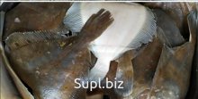 Камбала нр жп белобрюхая, мороженая 25+см