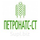 Нут оптом