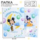 Свидетельство о рождении, обложка А4 для мальчика, 1 файл 21х30 см, Микки Маус